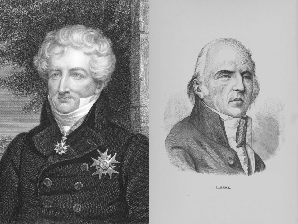 Georges Cuvier (links) und Jean-Baptiste Lamarck waren sich grundsätzlich uneinig darüber, ob sich Arten im Laufe der Zeit verändern können oder nicht. - Copyright: GeorgiosArt/iStock via Getty Images Plus; Kean Collection/Archive Photos via Getty Images