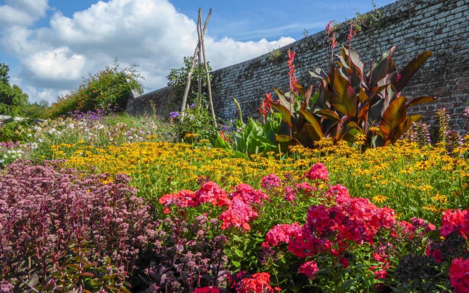 Herstmonceux Castle East Sussex dogs owners best gardens summer visit - Julie Ryan 