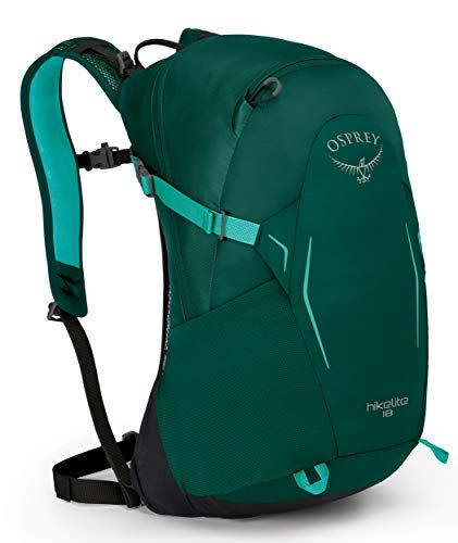 18) Hiking Backpack