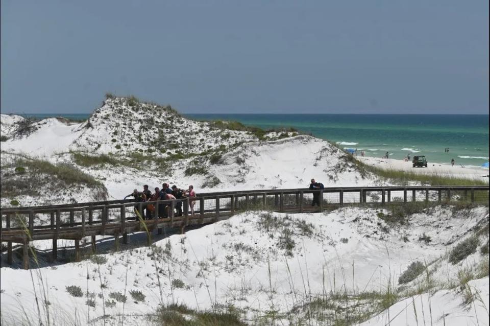 Two doctors rushed to help a 15-year-old after she was bitten by a shark along Rosemary Beach in Florida (South Walton Fire District)