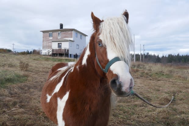 Zach Goudie, CBC