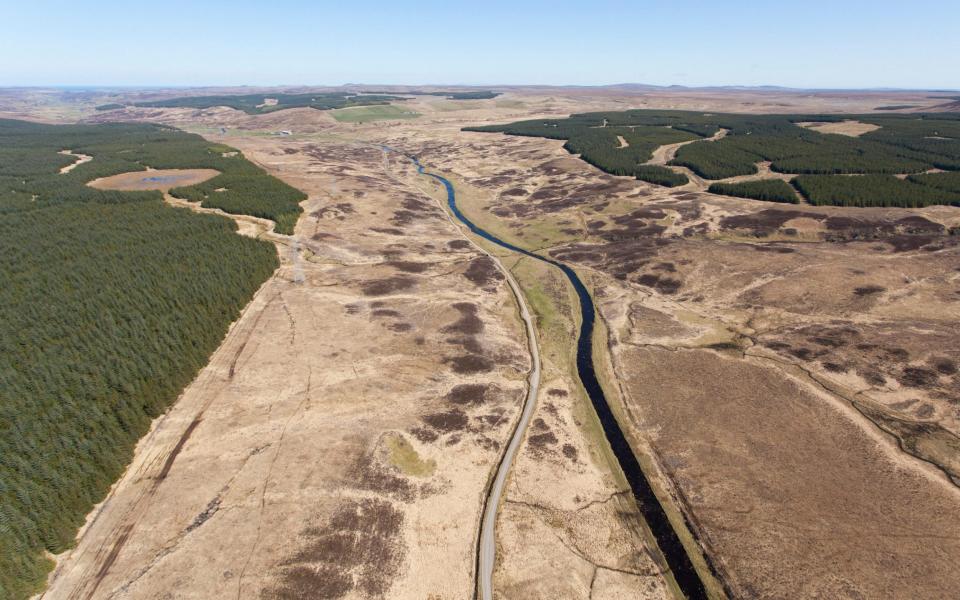 An aerial photo of the blanket bog around Forsinard