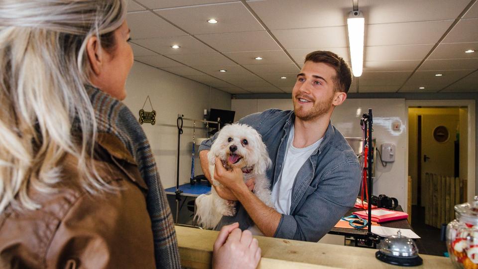 Woman is handing her pet dog over at the counter of the dog grooming salon.