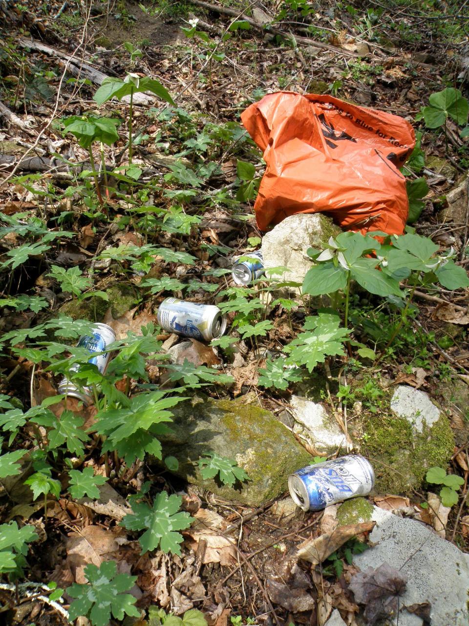 Littering is a pervasive problem throughout the mountains. It is also illegal statewide.
