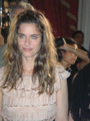 Amanda Peet