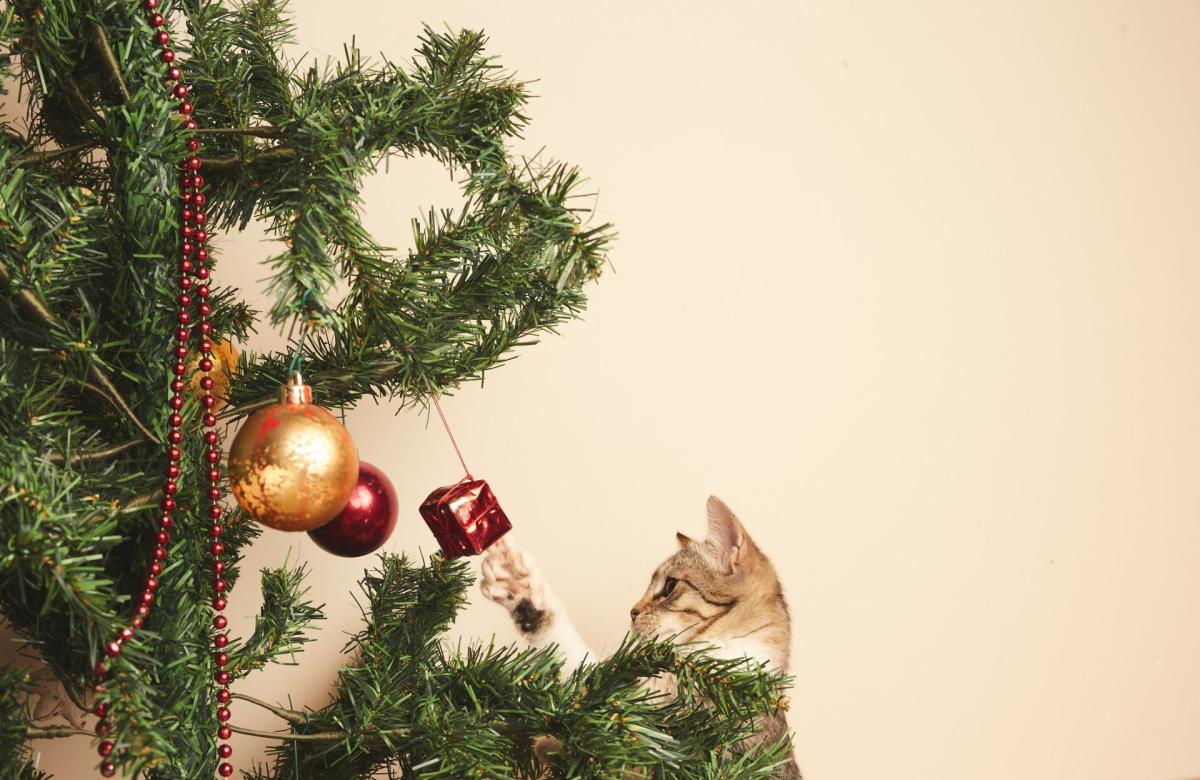 12 trucs de pros pour un sapin de Noël parfait