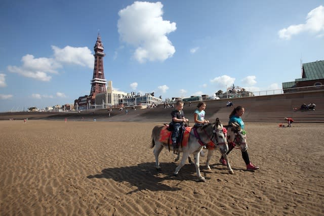 Blackpool donkeys