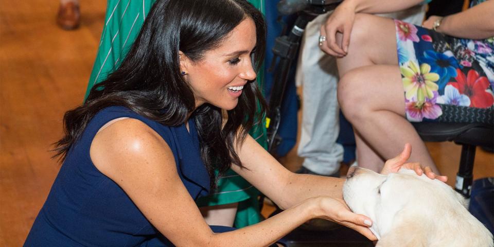 <p>Meghan meets a dog.</p>