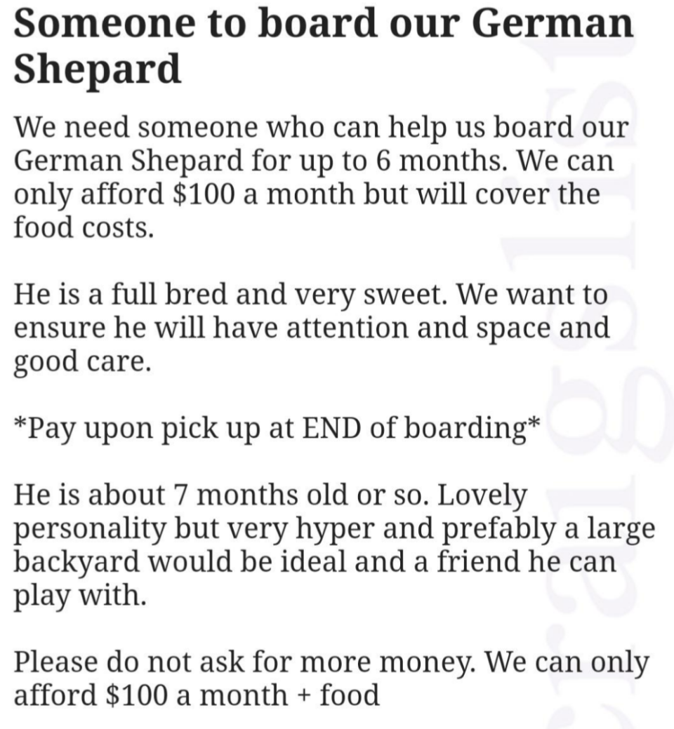 "Someone to board our German Shepard"