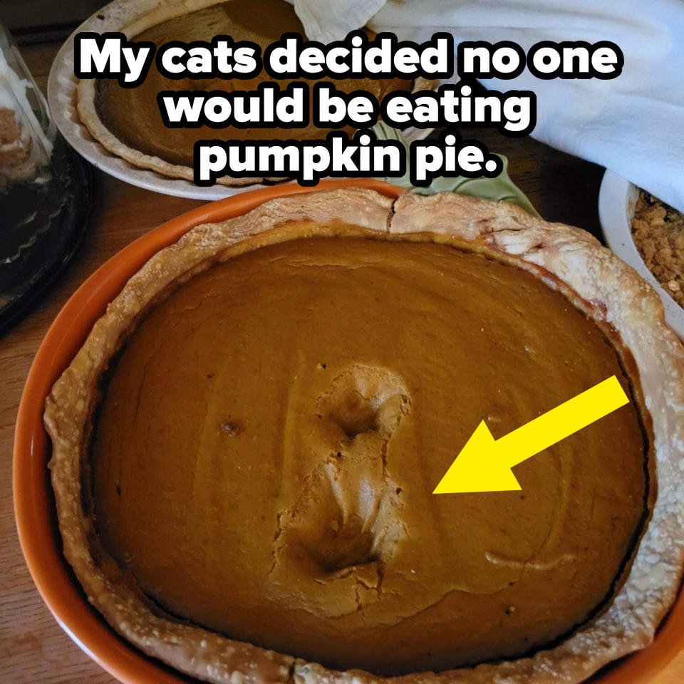 Cat paw prints in the pie, with the caption "My cats decided no one would be eating pumpkin pie"