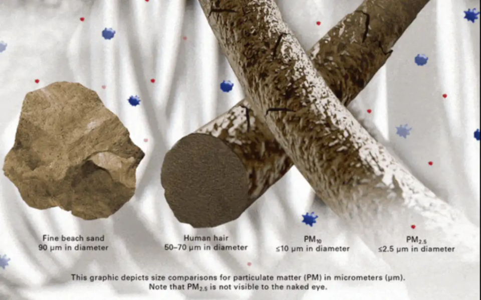 Fine particulates (red dots) are 2.5 microns in diameter – far smaller than the width of a human hair. (USEPA image)