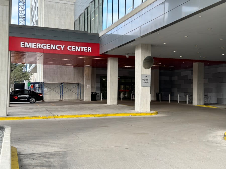 Dell Seton Medical Center at The University of Texas uses bollards (KXAN Photo/Matt Grant)