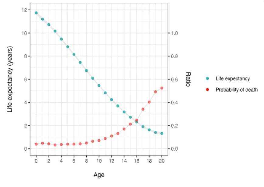 Esperanza de vida y probabilidad de muerte según los datos del estudio | Teng, Kendy Tzu-yun, et al. Journal of Feline Medicine and Surgery, (2024) DOI:10.1177/1098612X241234556.