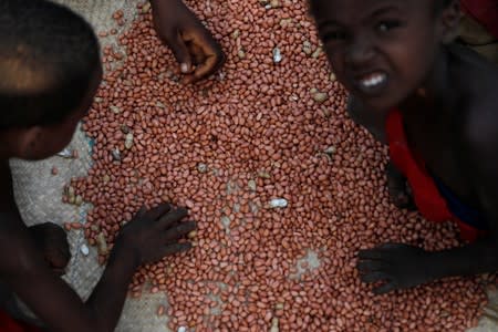 A family sort peanuts in the village of Lambokely near the city of Morondava