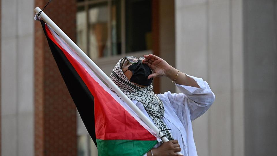 Anti-Israel protester wears a mask and carries a Palestinian flag
