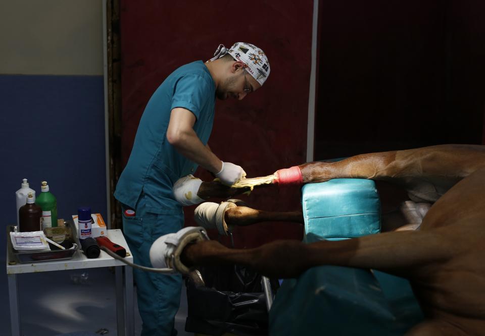 Así cuidan a los caballos de carrera heridos en un hospital turco