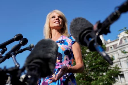 White House adviser Kellyanne Conway speaks at the White House in Washington