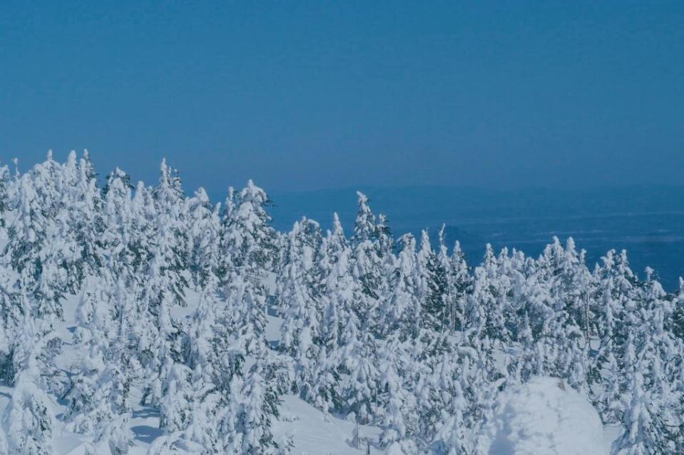 <sup>樹冰是日本東北地區特有的奇觀，要天時地利人和才能看到如此壯麗的景色。</sup>