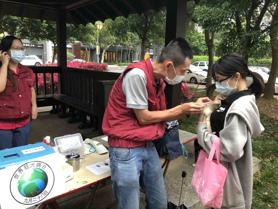 新北動保處每年舉行寵物狂犬病疫苗巡迴注射活動，圖為林口區立行公園場次活動情形。    圖：新北市動保處提供