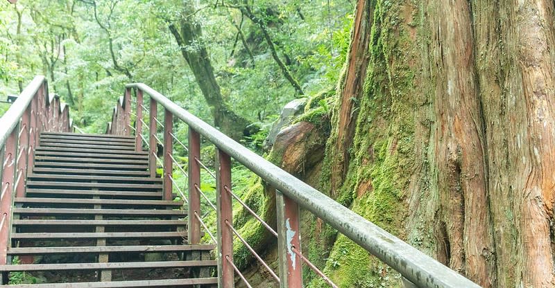 桃園拉拉山