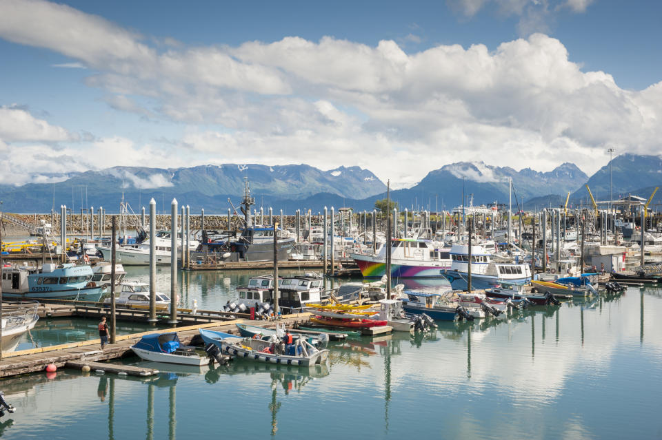 Boats docked in marina in Homer, Alaska