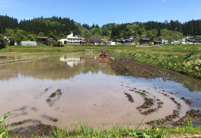 A farmer works in a rice field, in Yamanobe