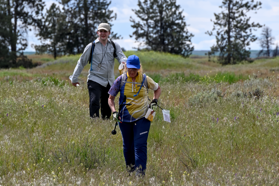 William Spencer (WA) and Janet Tryson (PA) on the final leg of a Middle Distance race at Fishtrap Lake in eastern Washington.<span class="copyright">Orienteering USA</span>
