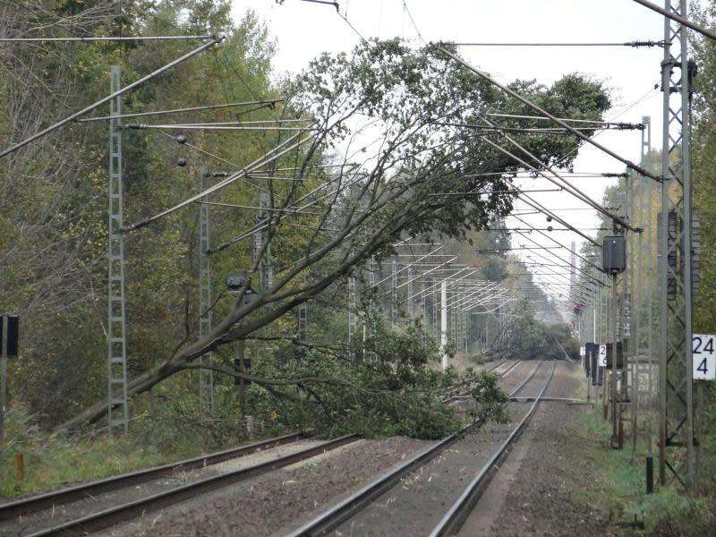 Ein Baum liegt bei Pinneberg in Schleswig-Holstein auf den Gleisen der Bahnstrecke Hamburg-Niebüll. Foto: Daniel Friederichs