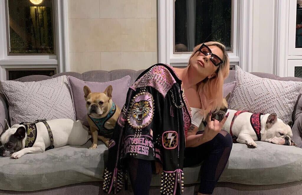 <p>Lady Gaga y perros</p> (Instagram)