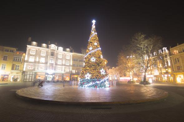 Christmas tree outdoors - Pexels image