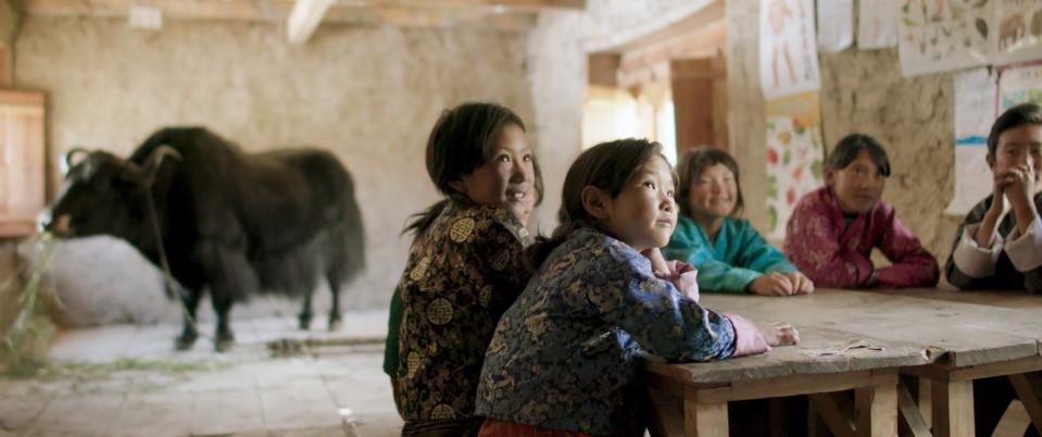 A group of girls sit learning near a yak