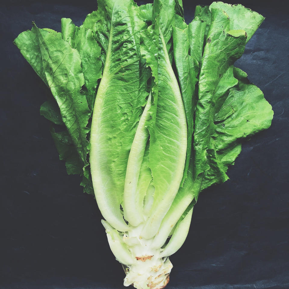 <p>Storage time: 1-2 weeks. No one appreciates soggy salad. Keep your unwashed lettuce leaves crisp and fresh by wrapping them in paper towel before storing them in the fridge. The paper towel will absorb excess moisture, preventing quick rot. This handy trick also works with other leafy greens such as collard greens, kale, spinach, chard and bok choy, as well as fresh herbs. Others have found success in wrapping lettuce heads in tin foil before refrigerating, which holds in their moisture without suffocating them. The latter technique is also a popular option for broccoli and celery. <i>(Photo: Getty)</i></p>