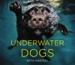 A collection of 80 of Seth Casteel’s underwater dog portraits have been turned into a new picture book, “Underwater Dogs.” The photos show a hilarious and primal side of dogs you haven’t seen before. “I’m interested in photographing dogs in their element,” Casteel said. “I want them to be themselves... It all has to do with emotion and expression.”