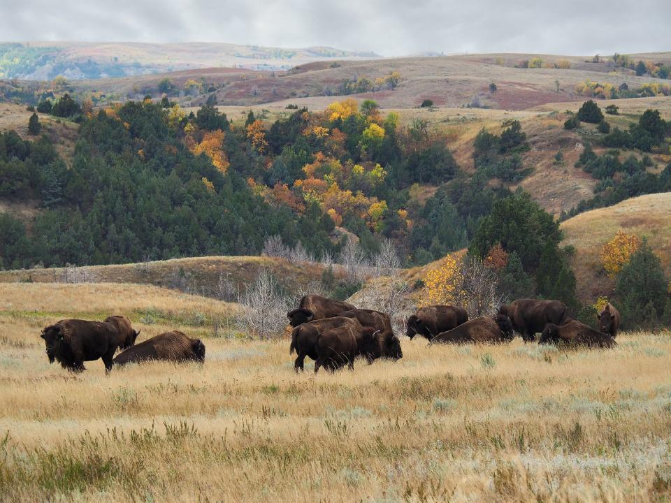 North Dakota