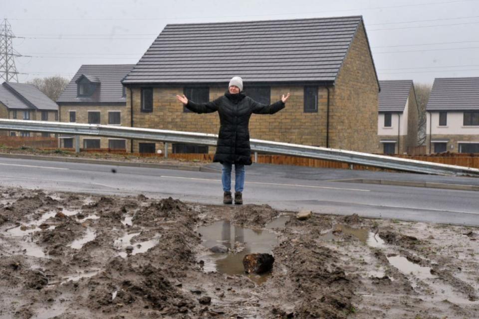 Bradford Telegraph and Argus:  Lisa has become increasingly frustrated over the sight of mud, leftover building material, and wires protruding from the ground nearby