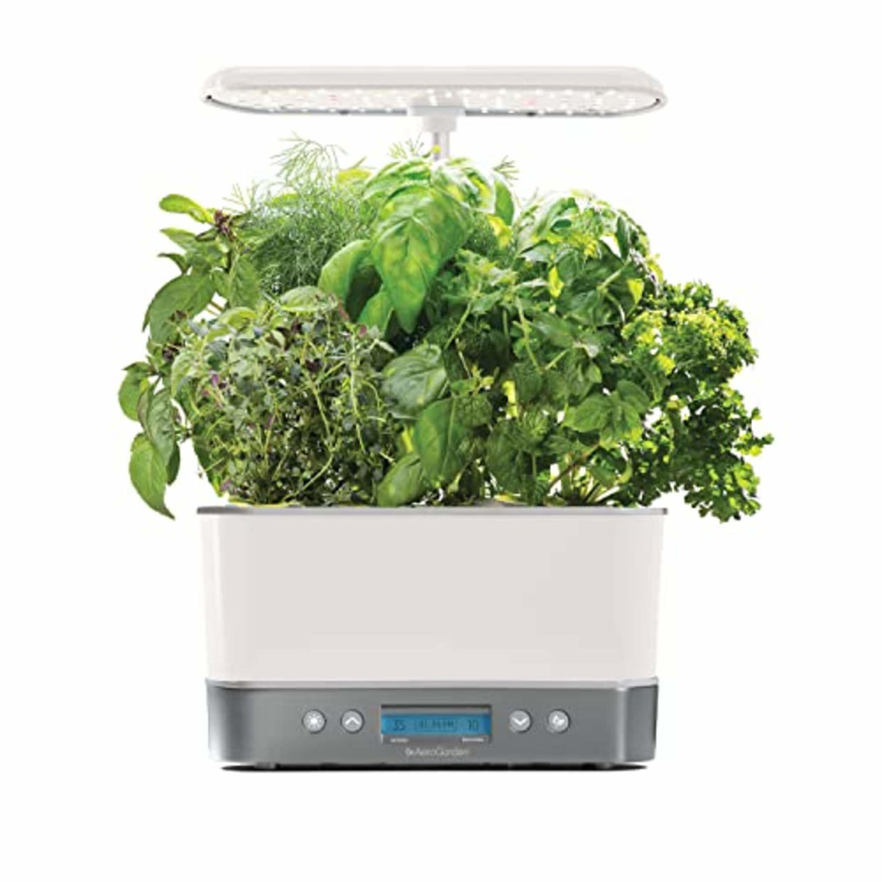 AeroGarden Harvest Elite Indoor Garden Hydroponic System with LED Grow Light and Herb Kit, Holds up to 6 Pods, White (AMAZON)