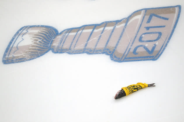 NASHVILLE, TN – JUNE 03: A catfish is seen on the ice prior to Game Three of the 2017 NHL Stanley Cup Final between the Pittsburgh Penguins and the Nashville Predators at the Bridgestone Arena on June 3, 2017 in Nashville, Tennessee. (Photo by Patrick Smith/Getty Images)