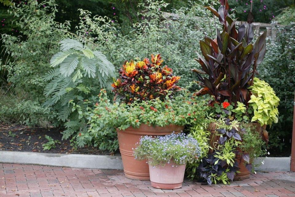 Container gardens are easy to grow and the larger the container the easier it is to maintain