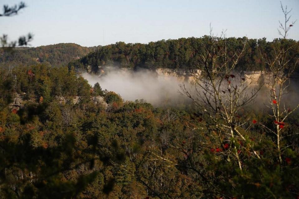 Fog moves along the valley near Devil’s Canyon Overlook in the Red River Gorge Geological Area in Stanton, Ky., Thursday, Oct. 26, 2017.