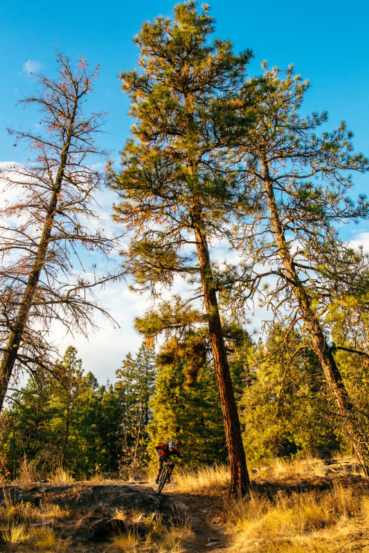 <p>Photo: Ryan Creary</p><p>From rainforest to dry desert landscapes...B.C. has it all. Jay Starnino, Penticton, BC</p>