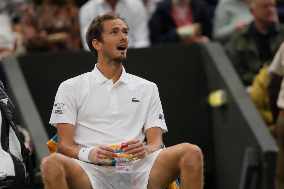 Russian Daniil Medvedev (pictured) reacts during the men's singles fourth round match at Wimbledon.
