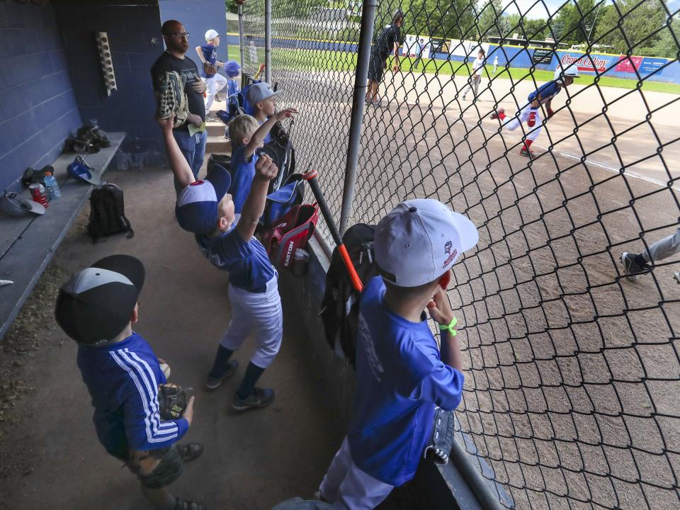 Players cheer from the dugout during a game at the Crown Colony baseball field in Holladay on Tuesday, June 16, 2020. | Steve Griffin, Deseret News