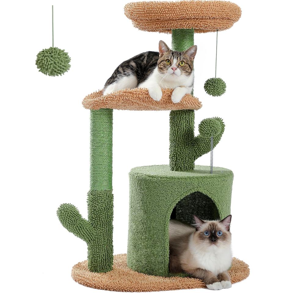 <p><a href="https://clicks.trx-hub.com/xid/hearstcorp_9eb67_ghk?q=https%3A%2F%2Fwww.walmart.com%2Fip%2FPAWZ-Road-32-Cat-Tree-Tower-with-Cactus-Sisal-Scratching-Posts-for-Indoor-Small-Cats-Green%2F492533686&p=https%3A%2F%2F&utmSource=yahoo-us&utmCampaign=65&utmMedium=syn" rel="nofollow noopener" target="_blank" data-ylk="slk:Shop Now;elm:context_link;itc:0;sec:content-canvas" class="link ">Shop Now</a></p><p>Cat Tree Tower with Scratching Post</p><p>walmart.com</p><p>$41.99</p>