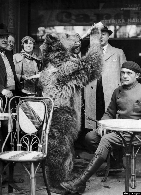 Bear chugging something good in Paris, 1930.