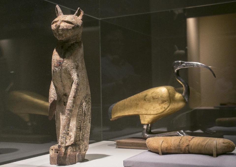 In this March 20, 2014 photo, a cat coffin with mummy, left, and an ibis coffin is displayed as part of the exhibit "Soulful Creatures: Animal Mummies in Ancient Egypt," at the Orange County's Bowers Museum in Santa Ana, Calif. The exhibition is on the ancient the mummification of animals in the Egyptian culture and religion. Drawn from the renowned collections of the Brooklyn Museum, Soulful Creatures features choice examples from among the many millions of mummies of birds, cats, dogs, snakes, and other animals preserved from at least thirty-one different cemeteries throughout Egypt. (AP Photo/Damian Dovarganes)