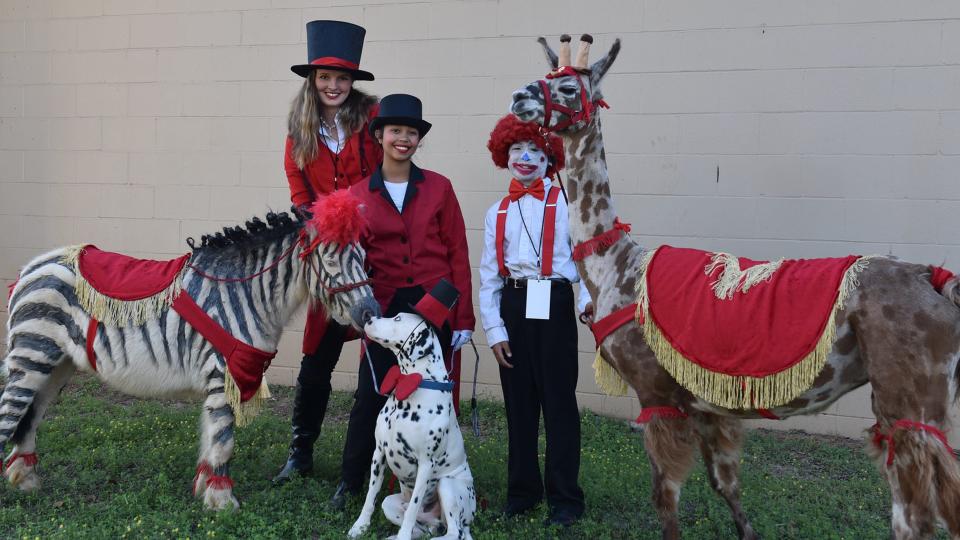 The Night to Shine prom on Feb. 10, 2023, will feature a circus-themed petting zoo, and volunteers including members of the Marching Chiefs Fire Twirlers, FSU Cheerleaders and Golden Girls, FAMU Cheerleaders, Leon High Jazz Band and more