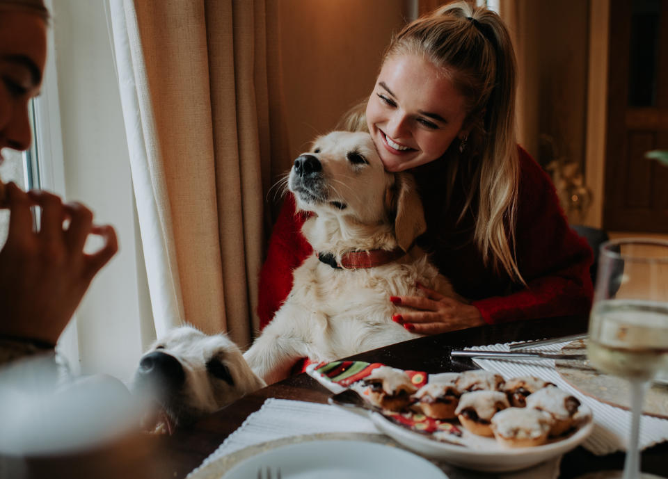 Two beautiful young woman make a fuss of a young golden retriever, entitled but cute, who sits on the knee of one of woman. The woman hugs the pup.