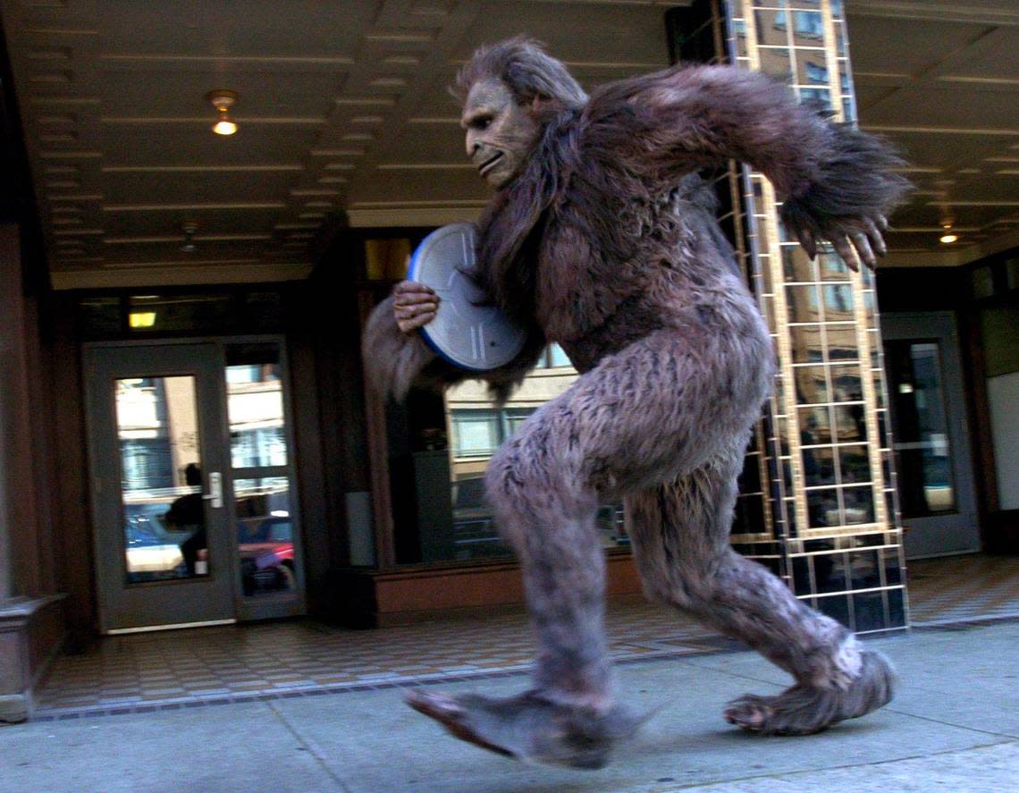 A legendary Bigfoot (OK, an actor playing one) races along Bay Street in downtown Bellingham, Washington, in a 2004 commercial for a film festival. The actor was portraying a Bigfoot filmmaker in a hurry to enter his work.