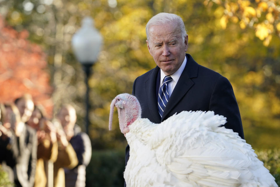 President Joe Biden walks past Peanut Butter, the national Thanksgiving turkey, after he was pardoned during a ceremony in the Rose Garden of the White House in Washington, Friday, Nov. 19, 2021. (AP Photo/Susan Walsh)