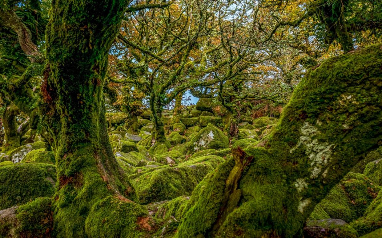 Bovey Tracey, United Kingdom - Getty Images/EyeEm